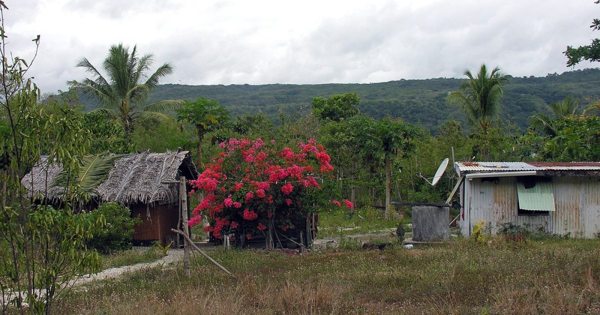 وانواتو کے جزیرے لیلیپا پر مکانات اور کھجور کے درخت — vanuatu earthquake کی خبر کے لیے جزیراتی منظر کی فائل تصویر