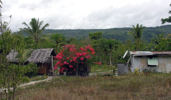 وانواتو کے جزیرے لیلیپا پر مکانات اور کھجور کے درخت — vanuatu earthquake کی خبر کے لیے جزیراتی منظر کی فائل تصویر