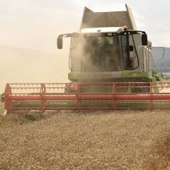 گندم کی کٹائی کرتی کمبائن مشین — wheat price کے نئے اعلان کے بعد کسانوں کی توجہ فصل کی بوائی پر
