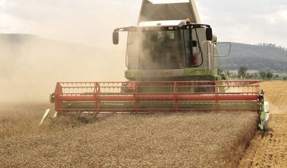 گندم کی کٹائی کرتی کمبائن مشین — wheat price کے نئے اعلان کے بعد کسانوں کی توجہ فصل کی بوائی پر
