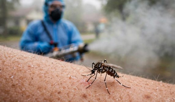 dengue cases rawalpindi — راولپنڈی میں ڈینگی کے کیسز اور حفاظتی اقدامات